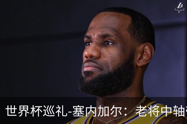 世界杯巡礼-塞内加尔：老将中轴带来安全感，非洲顶流前景可期！