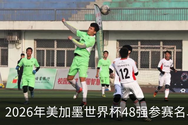 2026年美加墨世界杯48强参赛名单汇总